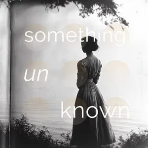 Pochette de Something Unknown par artlequin